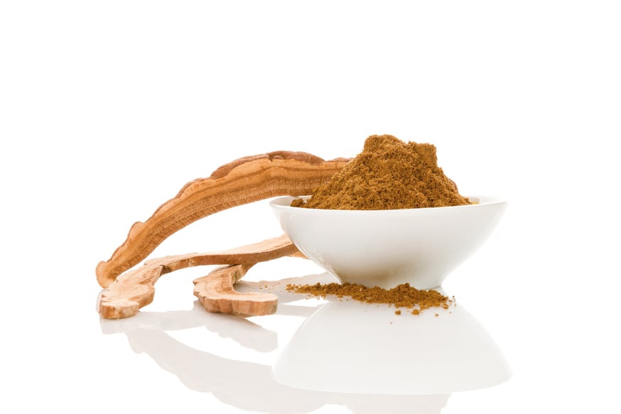 Reishi medical mushroom powder